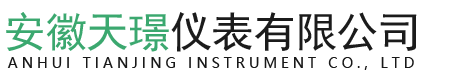 安徽天璟儀表有限公司